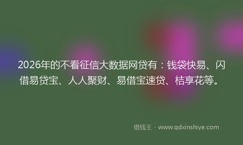2026年的不看征信大数据网贷有：钱袋快易、闪借易贷宝、人人聚财、易借宝速贷、桔享花等。
