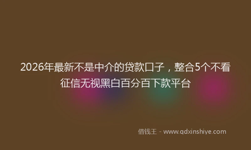 2026年最新不是中介的贷款口子，整合5个不看征信无视黑白百分百下款平台