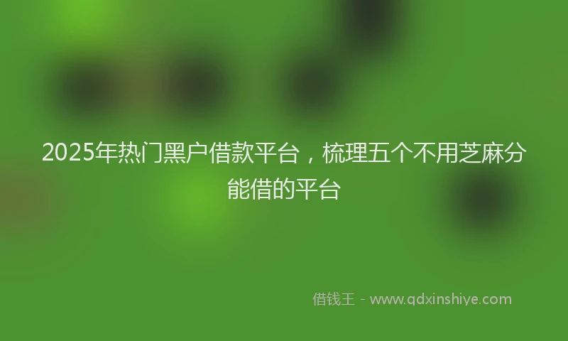 2025年热门黑户借款平台，梳理五个不用芝麻分能借的平台