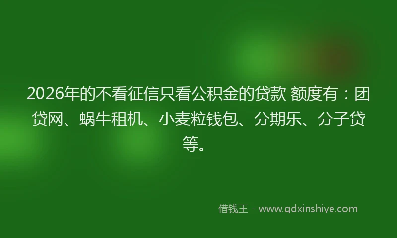2026年的不看征信只看公积金的贷款 额度有：团贷网、蜗牛租机、小麦粒钱包、分期乐、分子贷等。