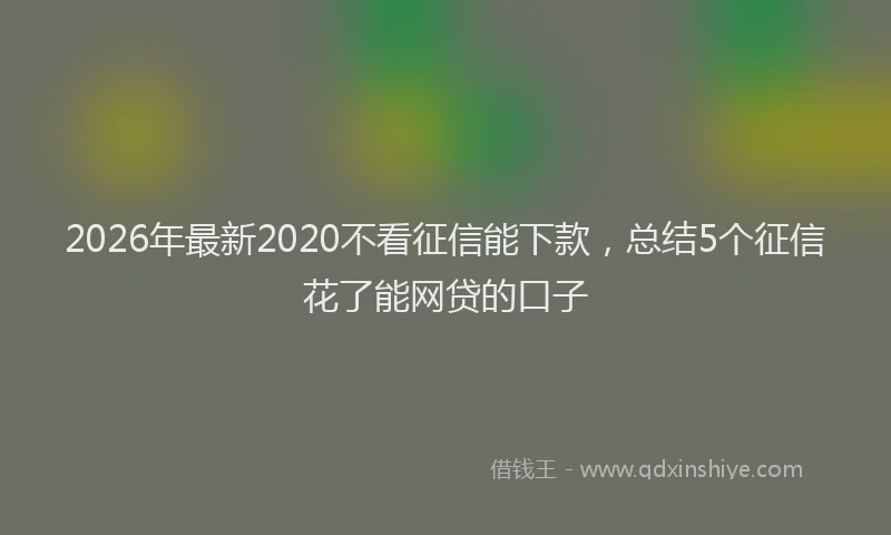 2026年最新2020不看征信能下款,总结5个征信花了能网贷的口子