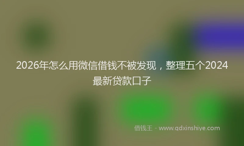 2026年怎么用微信借钱不被发现，整理五个2024最新贷款口子
