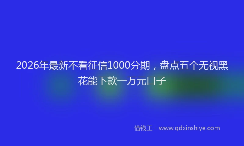 2026年最新不看征信1000分期，盘点五个无视黑花能下款一万元口子