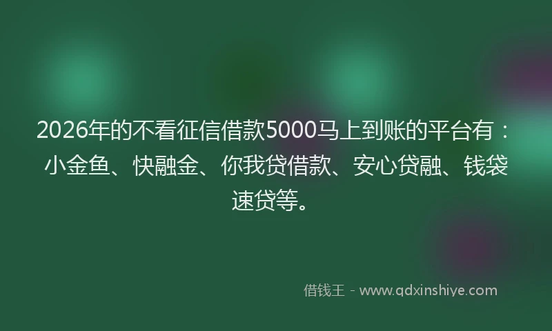 2026年的不看征信借款5000马上到账的平台有：小金鱼、快融金、你我贷借款、安心贷融、钱袋速贷等。