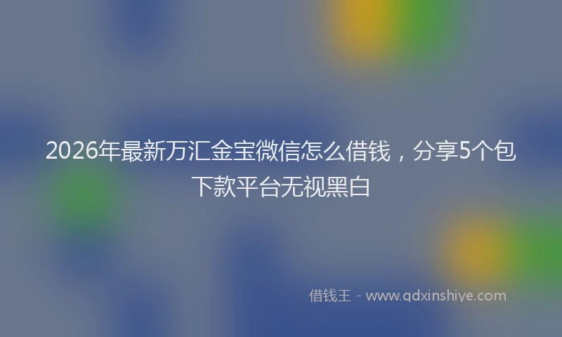 2026年最新万汇金宝微信怎么借钱，分享5个包下款平台无视黑白