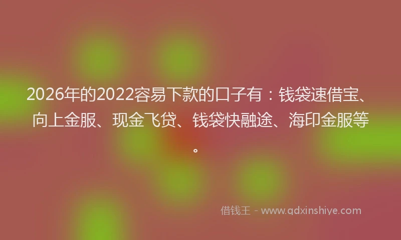 2026年的2022容易下款的口子有：钱袋速借宝、向上金服、现金飞贷、钱袋快融途、海印金服等。