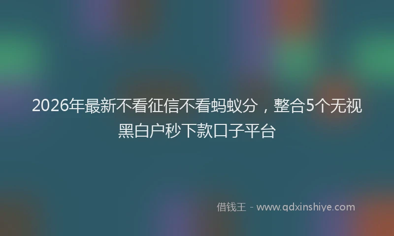 2026年最新不看征信不看蚂蚁分,整合5个无视黑白户秒下款口子平台