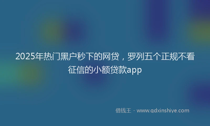 2025年热门黑户秒下的网贷,罗列五个正规不看征信的小额贷款app