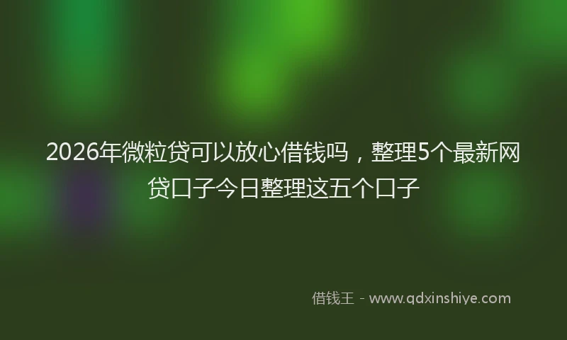 2026年微粒贷可以放心借钱吗，整理5个最新网贷口子今日整理这五个口子