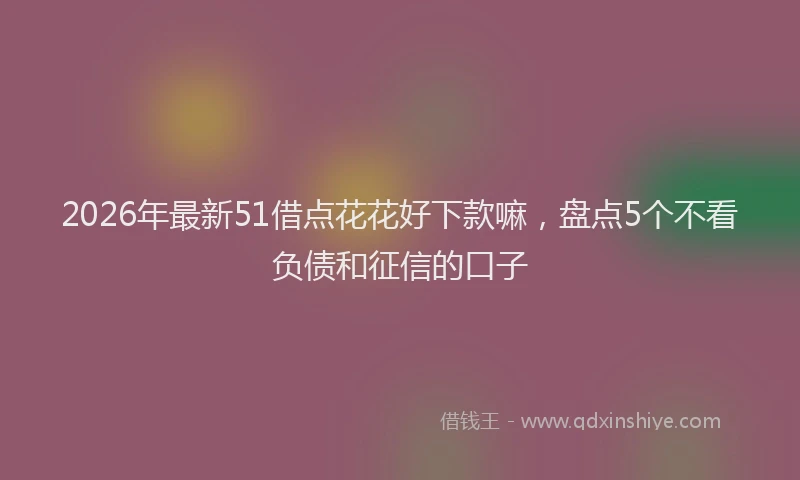 2026年最新51借点花花好下款嘛，盘点5个不看负债和征信的口子