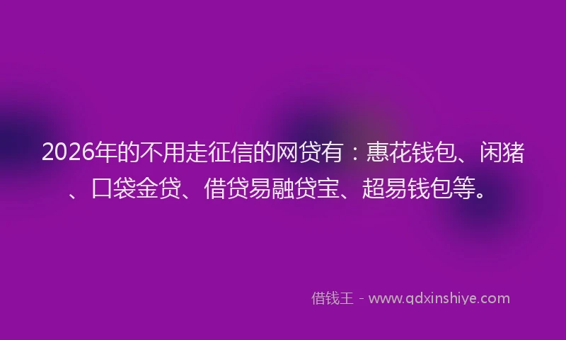 2026年的不用走征信的网贷有:惠花钱包、闲猪、口袋金贷、借贷易融贷宝、超易钱包等。