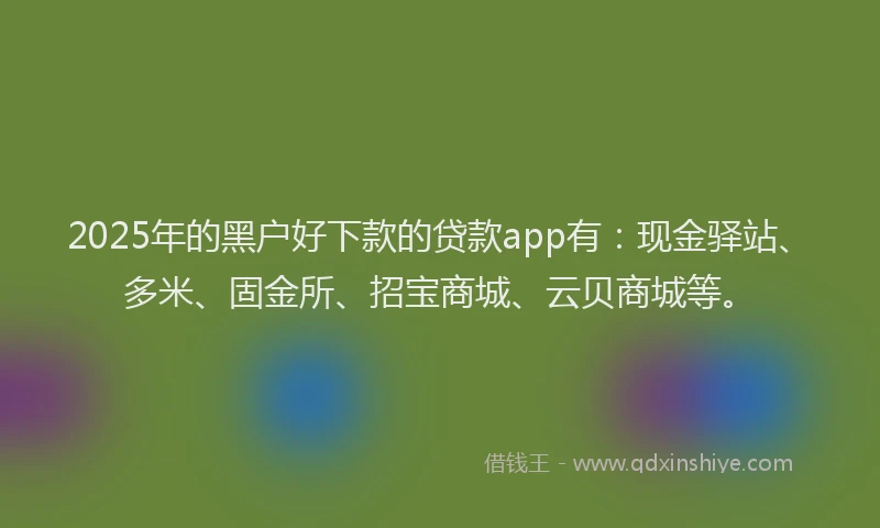 2025年的黑户好下款的贷款app有:现金驿站、多米、固金所、招宝商城、云贝商城等。