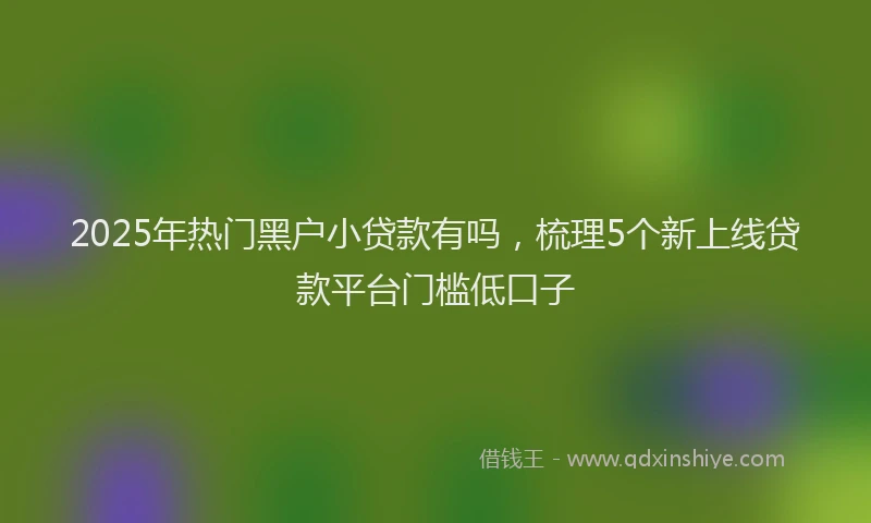 2025年热门黑户小贷款有吗,梳理5个新上线贷款平台门槛低口子