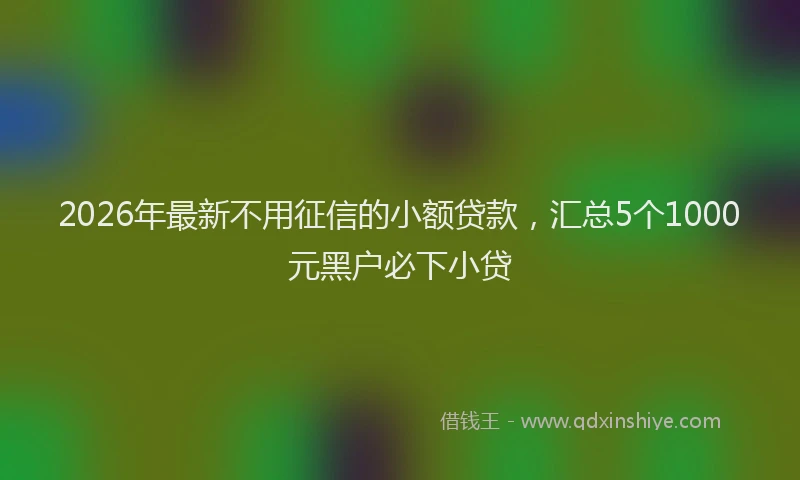 2026年最新不用征信的小额贷款，汇总5个1000元黑户必下小贷