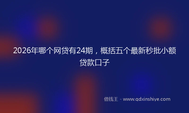 2026年哪个网贷有24期,概括五个最新秒批小额贷款口子