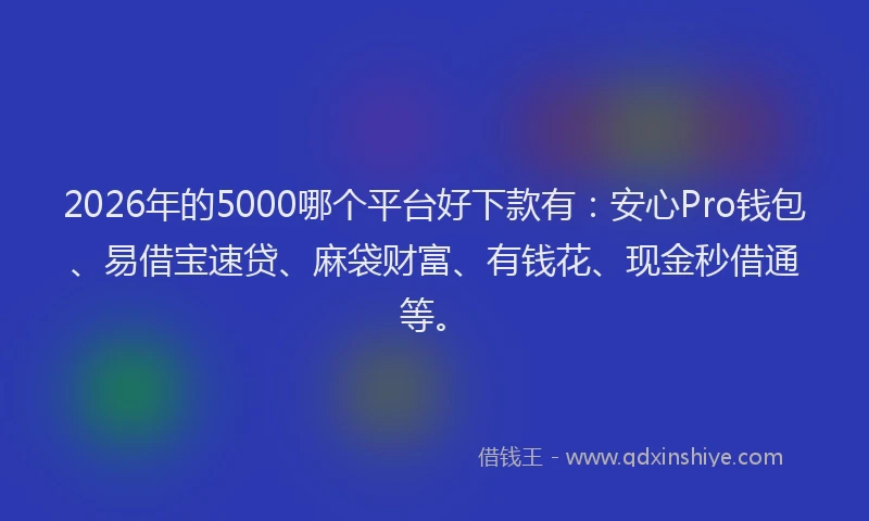 2026年的5000哪个平台好下款有：安心Pro钱包、易借宝速贷、麻袋财富、有钱花、现金秒借通等。
