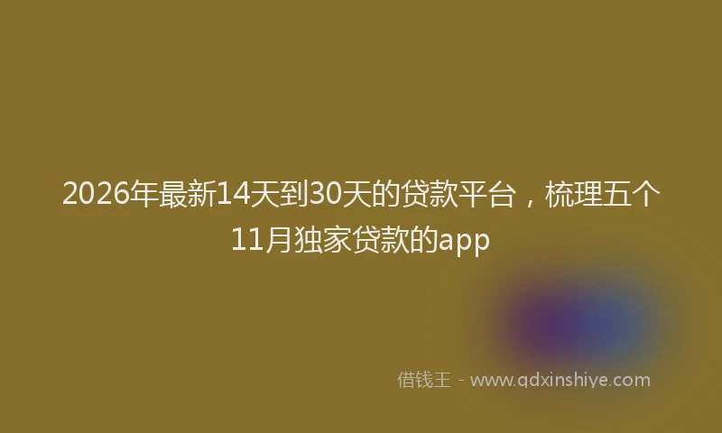 2026年最新14天到30天的贷款平台，梳理五个11月独家贷款的app