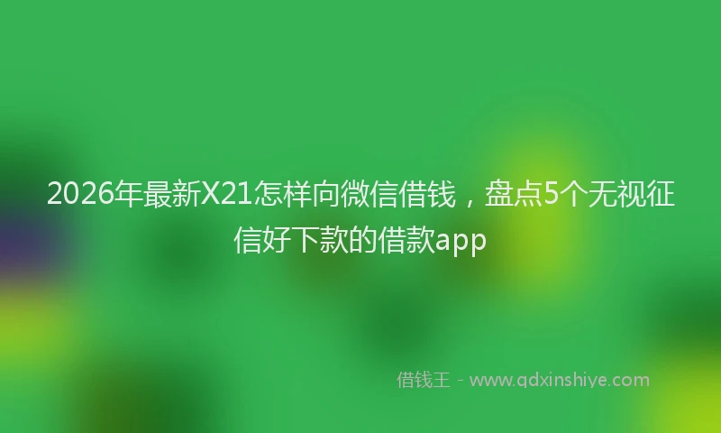 2026年最新X21怎样向微信借钱，盘点5个无视征信好下款的借款app