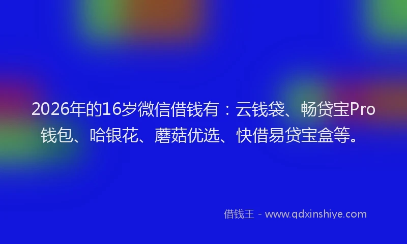 2026年的16岁微信借钱有：云钱袋、畅贷宝Pro钱包、哈银花、蘑菇优选、快借易贷宝盒等。