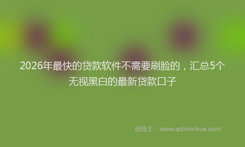 2026年最快的贷款软件不需要刷脸的,汇总5个无视黑白的最新贷款口子