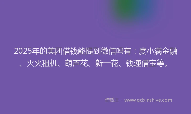 2025年的美团借钱能提到微信吗有：度小满金融、火火租机、葫芦花、新一花、钱速借宝等。