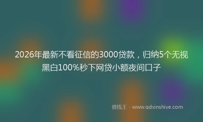 2026年最新不看征信的3000贷款，归纳5个无视黑白100%秒下网贷小额夜间口子