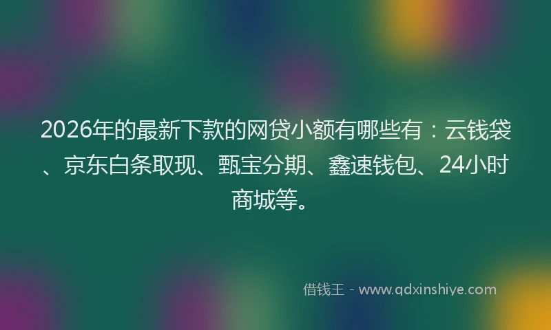 2026年的最新下款的网贷小额有哪些有：云钱袋、京东白条取现、甄宝分期、鑫速钱包、24小时商城等。