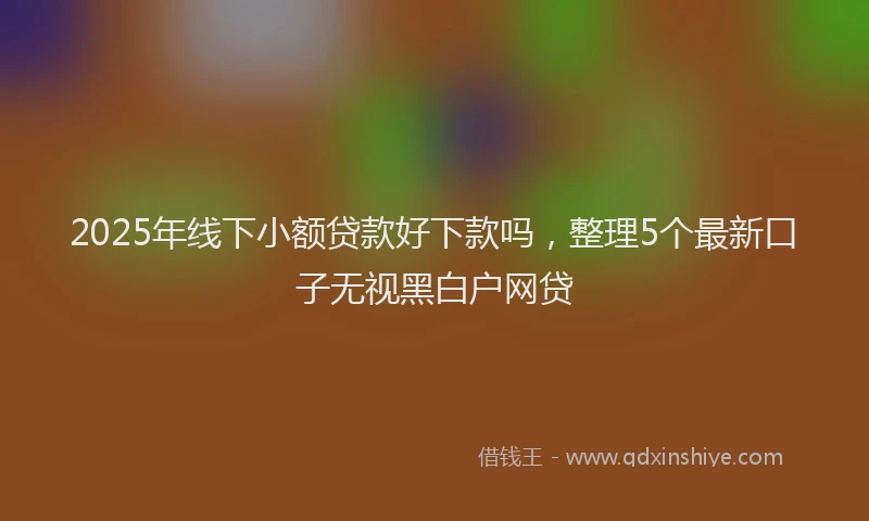 2025年线下小额贷款好下款吗，整理5个最新口子无视黑白户网贷