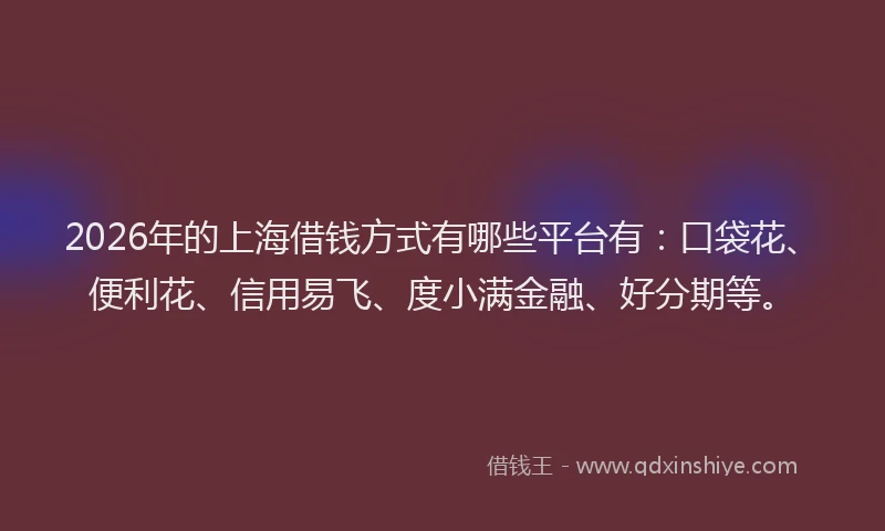 2026年的上海借钱方式有哪些平台有:口袋花、便利花、信用易飞、度小满金融、好分期等。