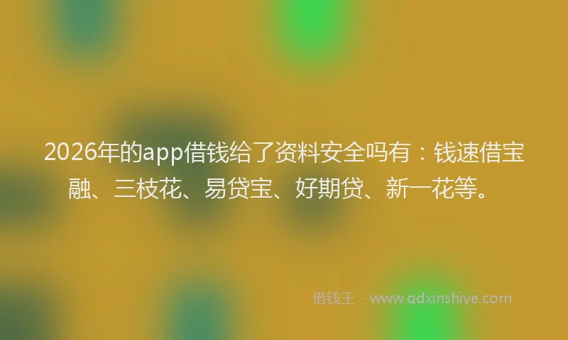 2026年的app借钱给了资料安全吗有：钱速借宝融、三枝花、易贷宝、好期贷、新一花等。