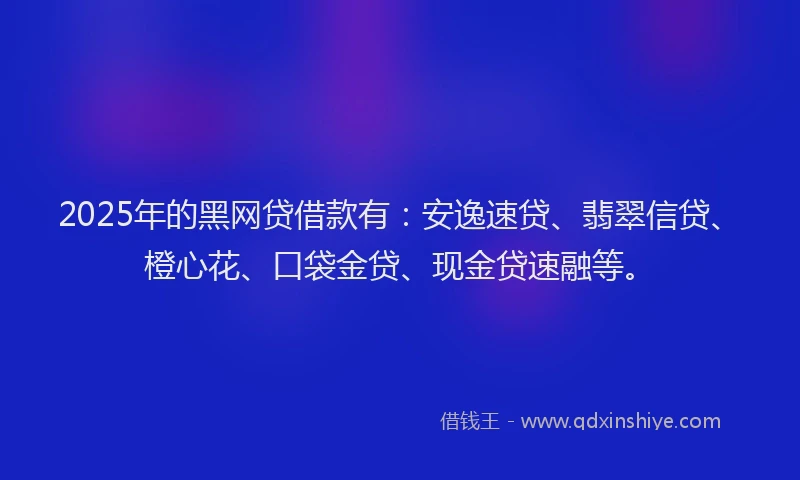 2025年的黑网贷借款有：安逸速贷、翡翠信贷、橙心花、口袋金贷、现金贷速融等。