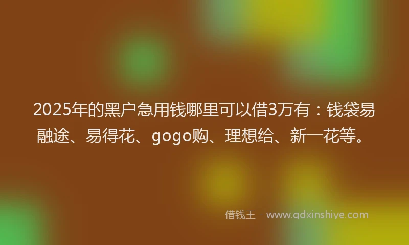 2025年的黑户急用钱哪里可以借3万有：钱袋易融途、易得花、gogo购、理想给、新一花等。