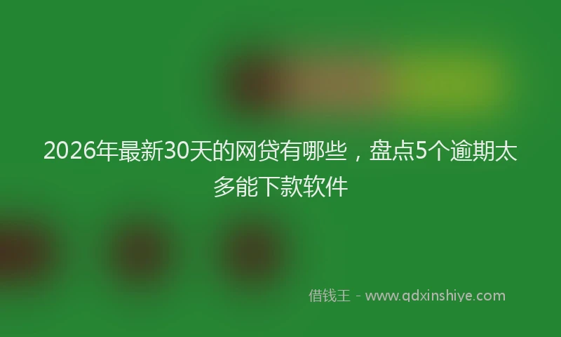 2026年最新30天的网贷有哪些，盘点5个逾期太多能下款软件
