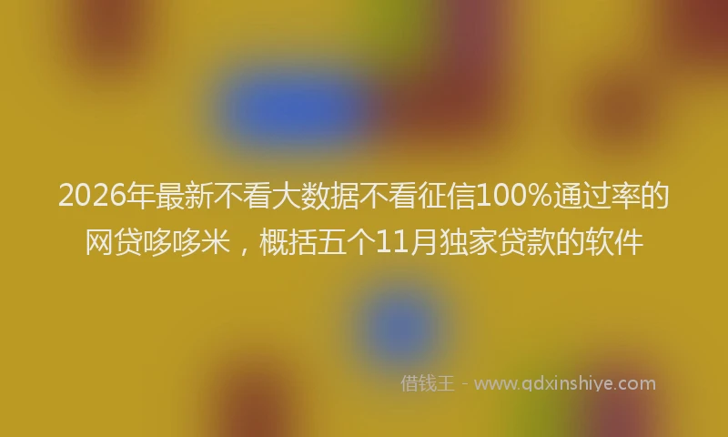 2026年最新不看大数据不看征信100%通过率的网贷哆哆米,概括五个11月独家贷款的软件