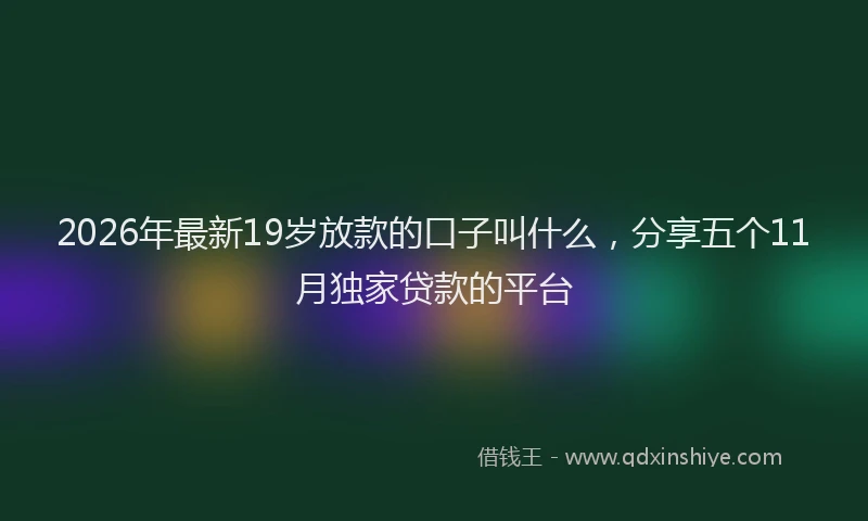 2026年最新19岁放款的口子叫什么，分享五个11月独家贷款的平台