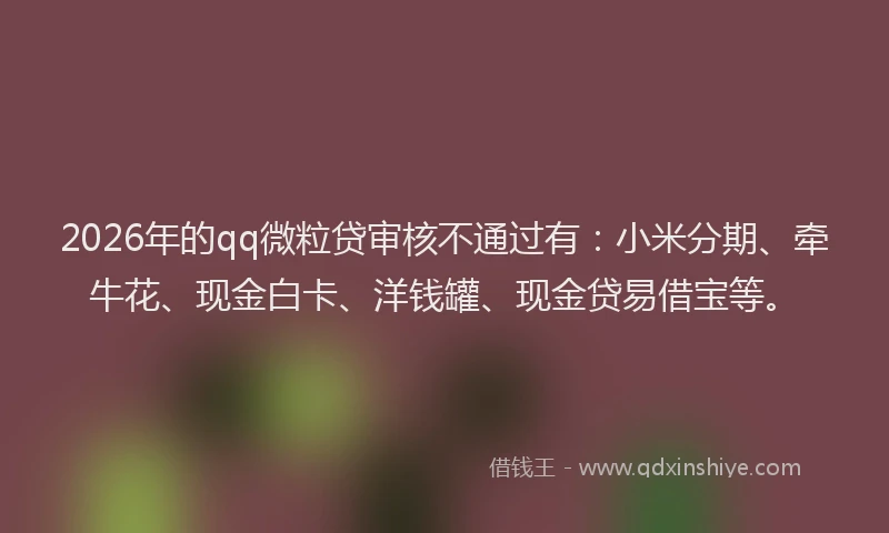 2026年的qq微粒贷审核不通过有:小米分期、牵牛花、现金白卡、洋钱罐、现金贷易借宝等。