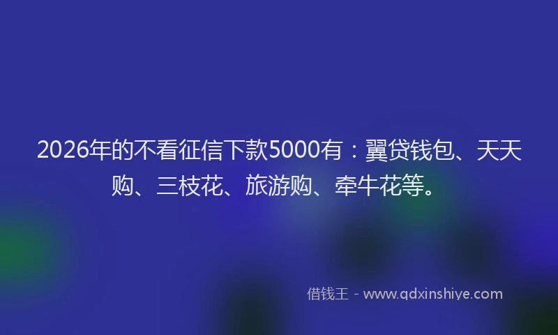 2026年的不看征信下款5000有:翼贷钱包、天天购、三枝花、旅游购、牵牛花等。