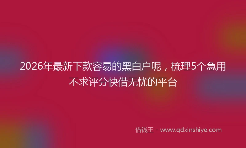 2026年最新下款容易的黑白户呢，梳理5个急用不求评分快借无忧的平台