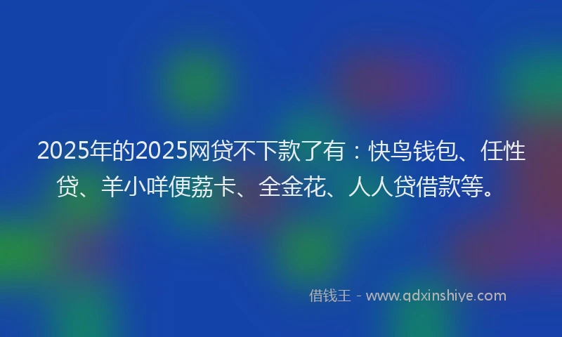 2025年的2025网贷不下款了有：快鸟钱包、任性贷、羊小咩便荔卡、全金花、人人贷借款等。