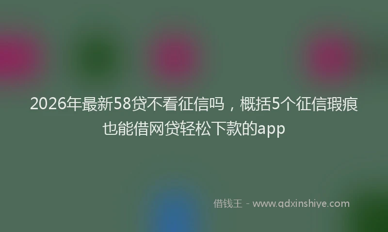 2026年最新58贷不看征信吗，概括5个征信瑕疵也能借网贷轻松下款的app