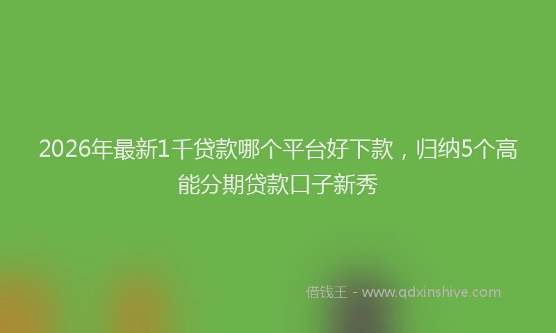 2026年最新1千贷款哪个平台好下款,归纳5个高能分期贷款口子新秀