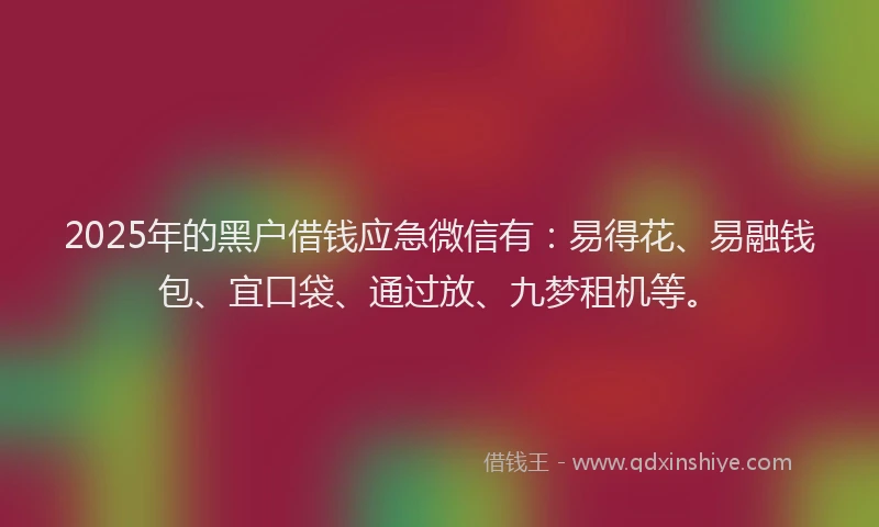 2025年的黑户借钱应急微信有：易得花、易融钱包、宜口袋、通过放、九梦租机等。