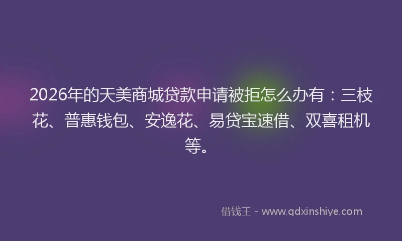 2026年的天美商城贷款申请被拒怎么办有：三枝花、普惠钱包、安逸花、易贷宝速借、双喜租机等。