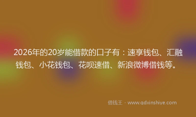 2026年的20岁能借款的口子有：速享钱包、汇融钱包、小花钱包、花呗速借、新浪微博借钱等。