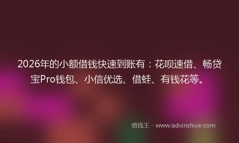 2026年的小额借钱快速到账有:花呗速借、畅贷宝Pro钱包、小信优选、借蛙、有钱花等。
