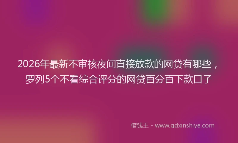 2026年最新不审核夜间直接放款的网贷有哪些,罗列5个不看综合评分的网贷百分百下款口子