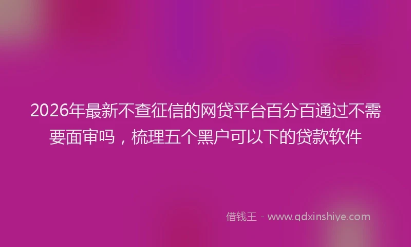 2026年最新不查征信的网贷平台百分百通过不需要面审吗，梳理五个黑户可以下的贷款软件