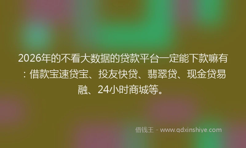 2026年的不看大数据的贷款平台一定能下款嘛有：借款宝速贷宝、投友快贷、翡翠贷、现金贷易融、24小时商城等。