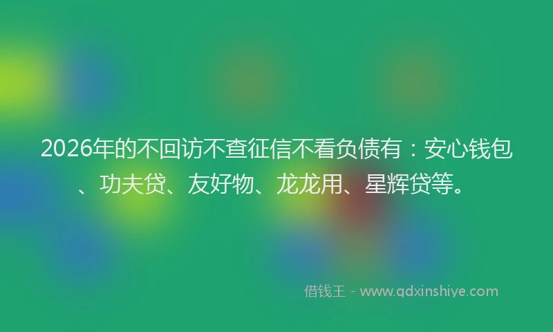 2026年的不回访不查征信不看负债有：安心钱包、功夫贷、友好物、龙龙用、星辉贷等。