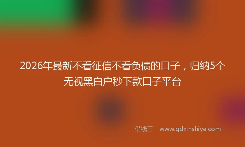 2026年最新不看征信不看负债的口子，归纳5个无视黑白户秒下款口子平台